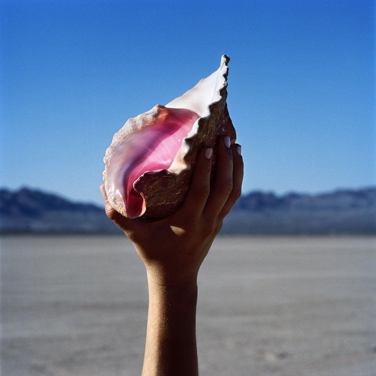Wonderful Wonderful por The Killers — capa do álbum
