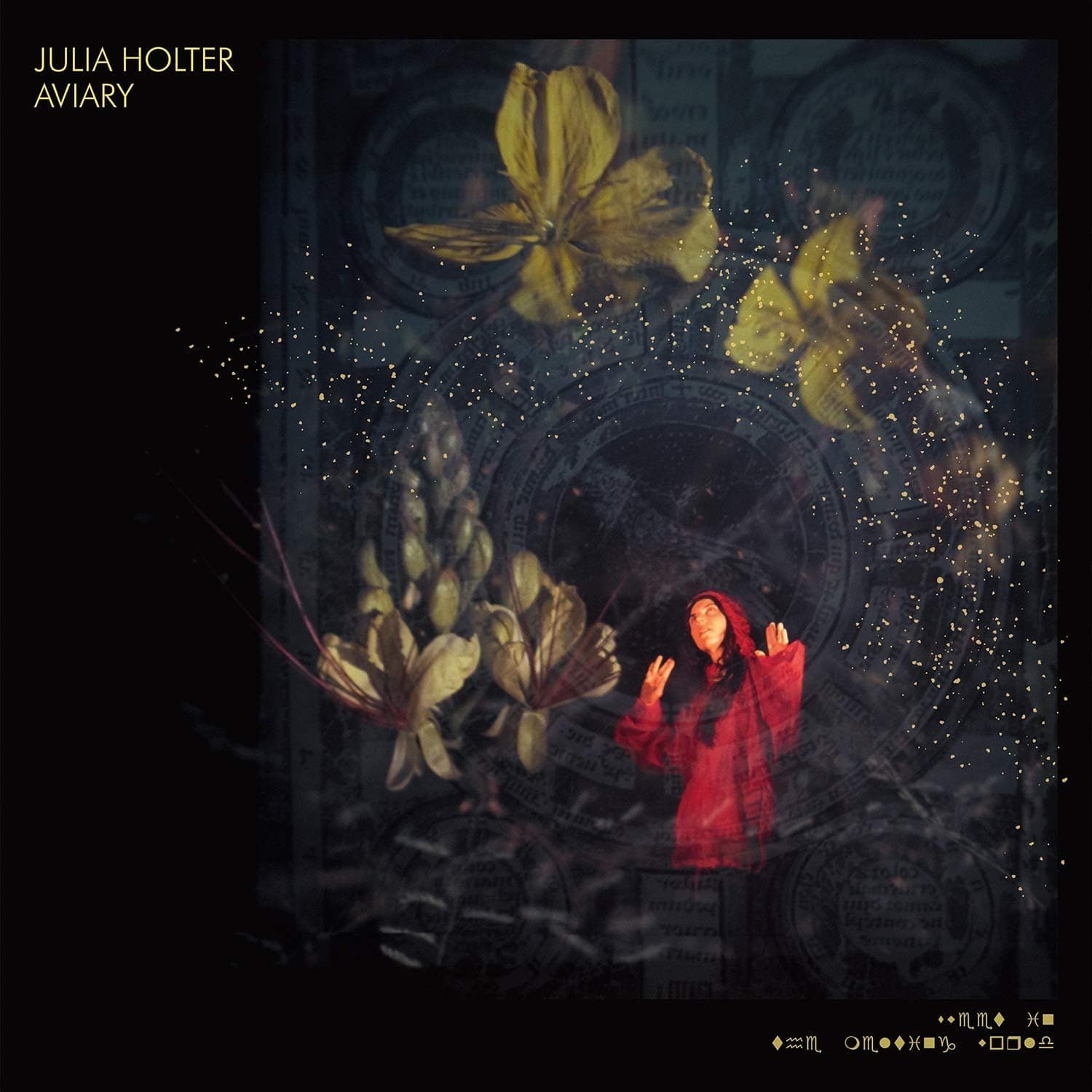 Aviary vinyl por Julia Holter — capa do álbum