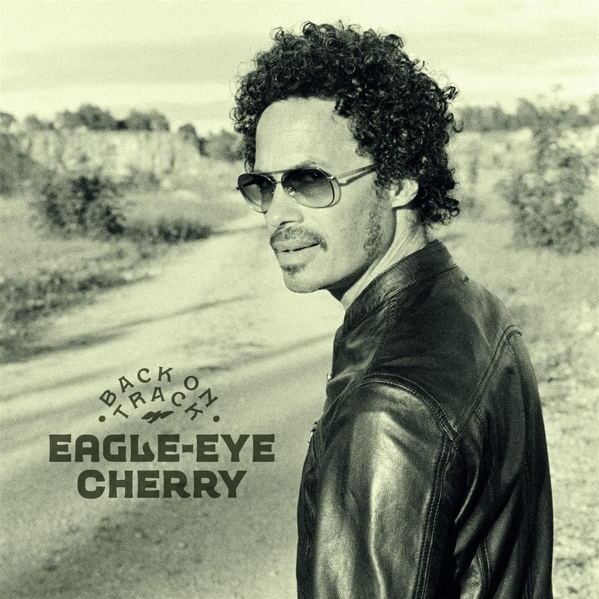 BACK ON TRACK por Eagle-Eye Cherry — capa do álbum