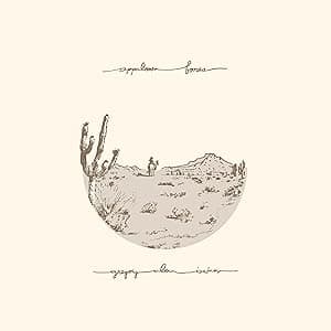 Appaloosa Bones - Brown por Gregory Alan Isakov — capa do álbum