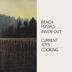 Cooking/Inside Out por Current Joys & Beach Fossils — capa do álbum
