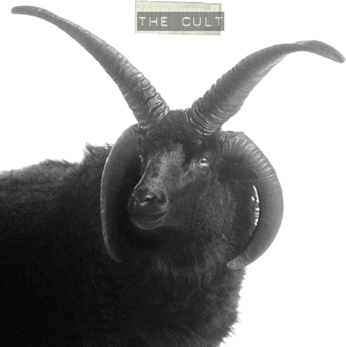 The Cult por The Cult — capa do álbum