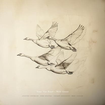 Wild Geese por Near The Pond — capa do álbum