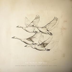 Wild Geese por Near The Pond — capa do álbum