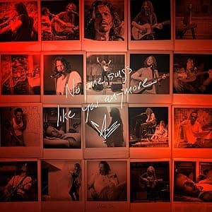 No One Sings Like You Anymore por Chris Cornell — capa do álbum