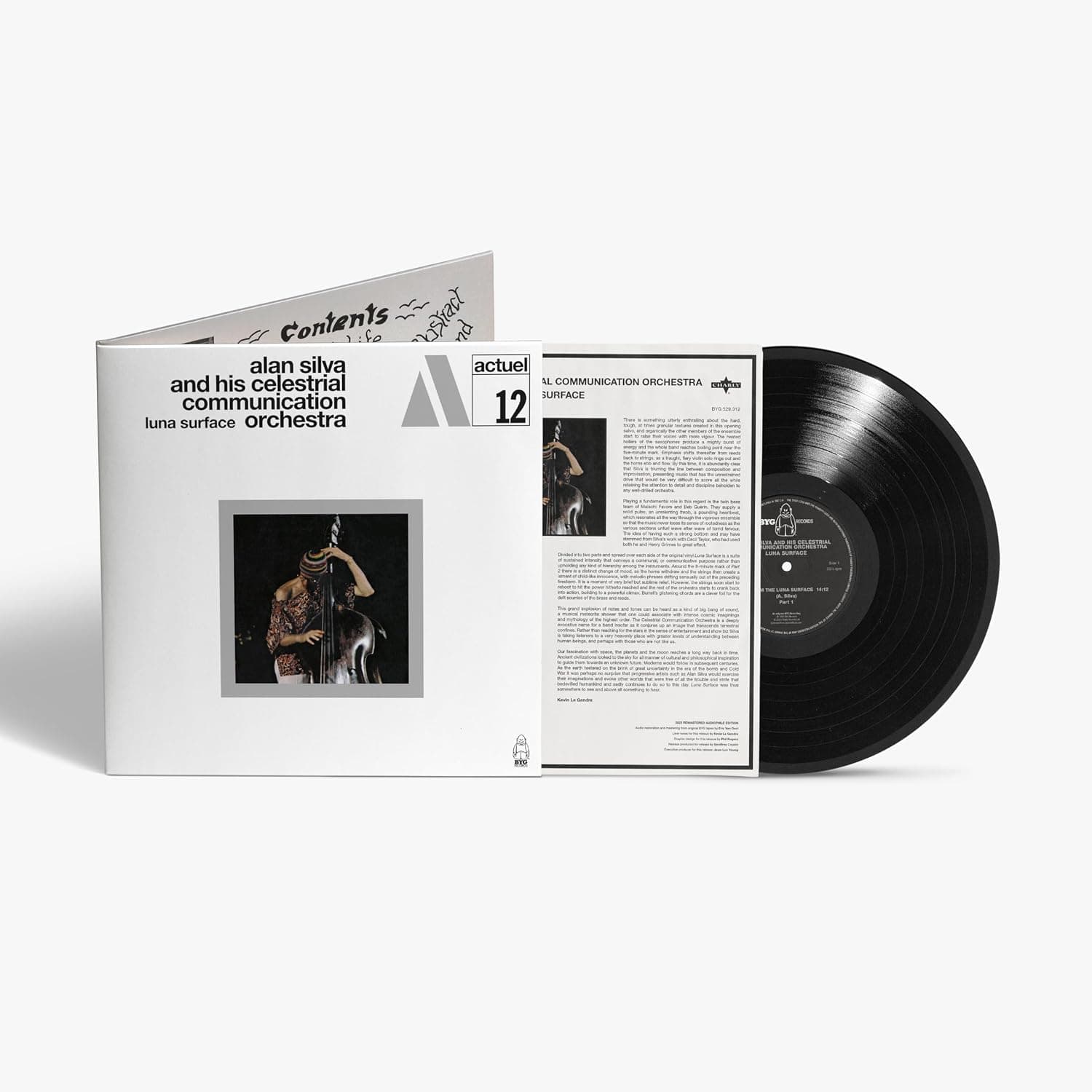 Luna Surface por Alan Silva & His Celestrial Communication Orchestra — capa do álbum