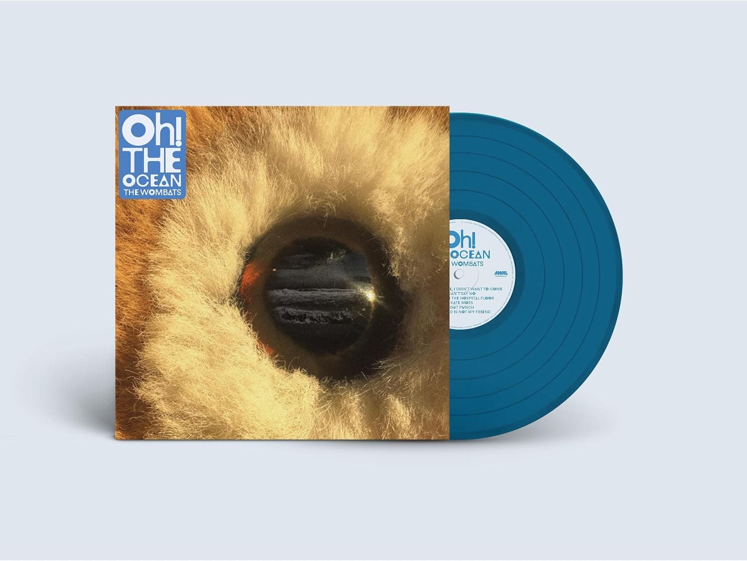 Oh! The Ocean por The Wombats — capa do álbum