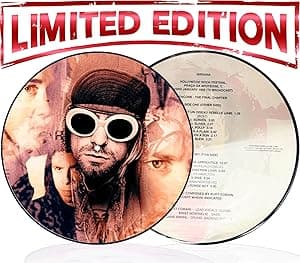Nirvana Hollywood Rock Festival, Rio 1993 - Limited Picture Disc por Nirvana — capa do álbum