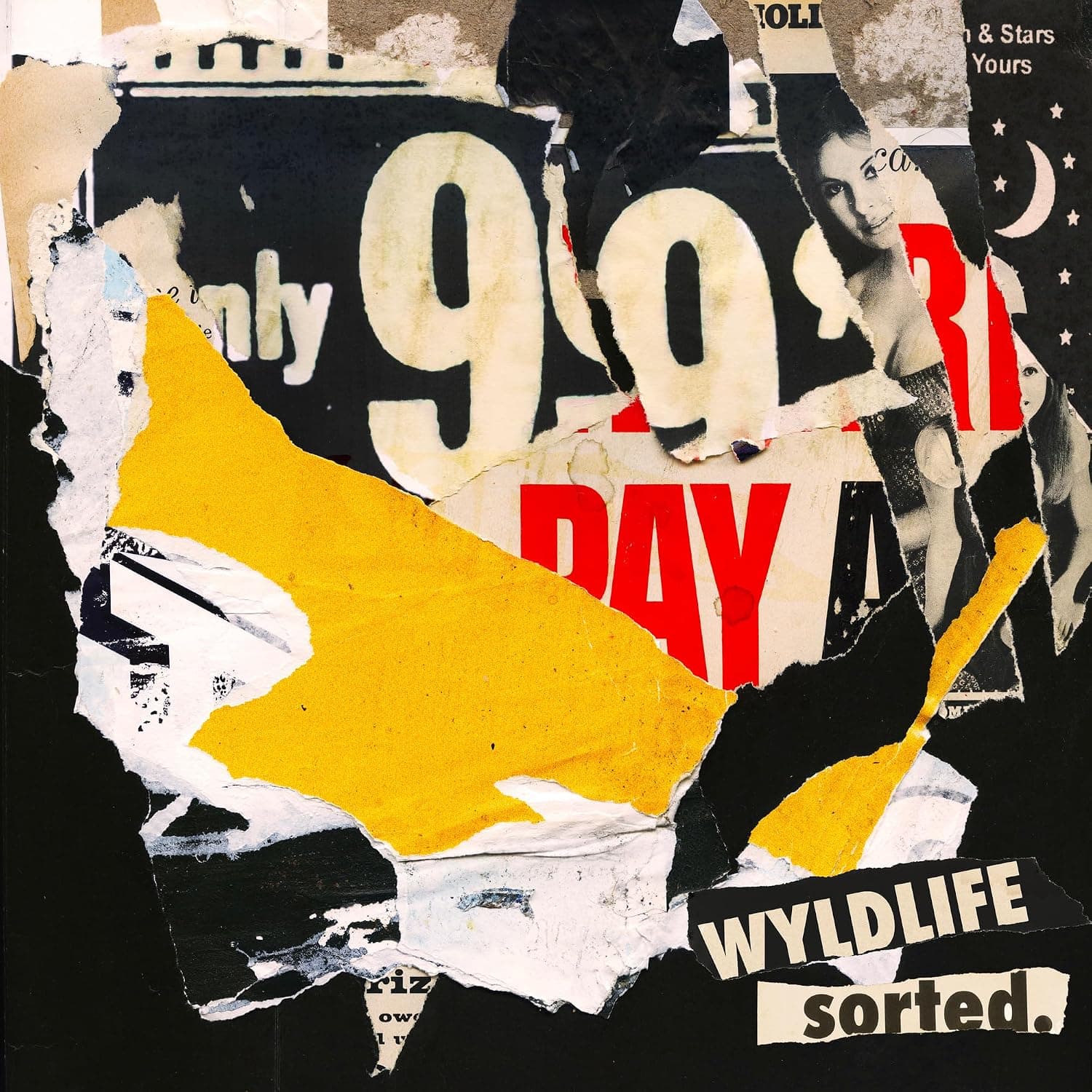 sorted. por Wyldlife — capa do álbum