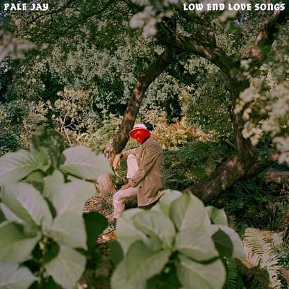 Low End Love Songs - Storm Cloud Grey por Pale Jay — capa do álbum