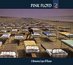 A Momentary Lapse of Reason por Santana — capa do álbum