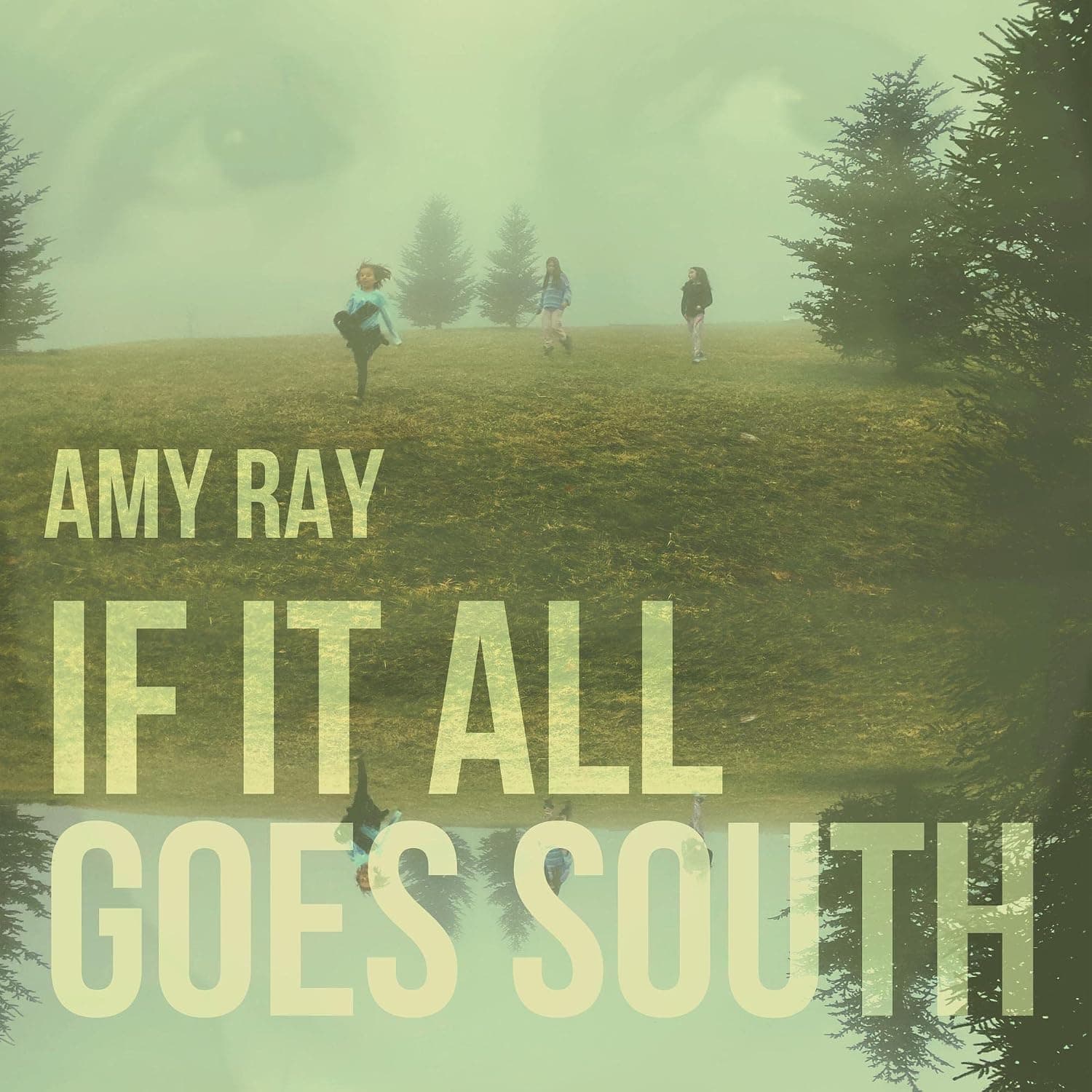 IF IT ALL GOES SOUTH por Amy Ray — capa do álbum