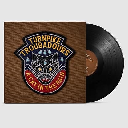 A Cat In The Rain por Artista não identificado — capa do álbum