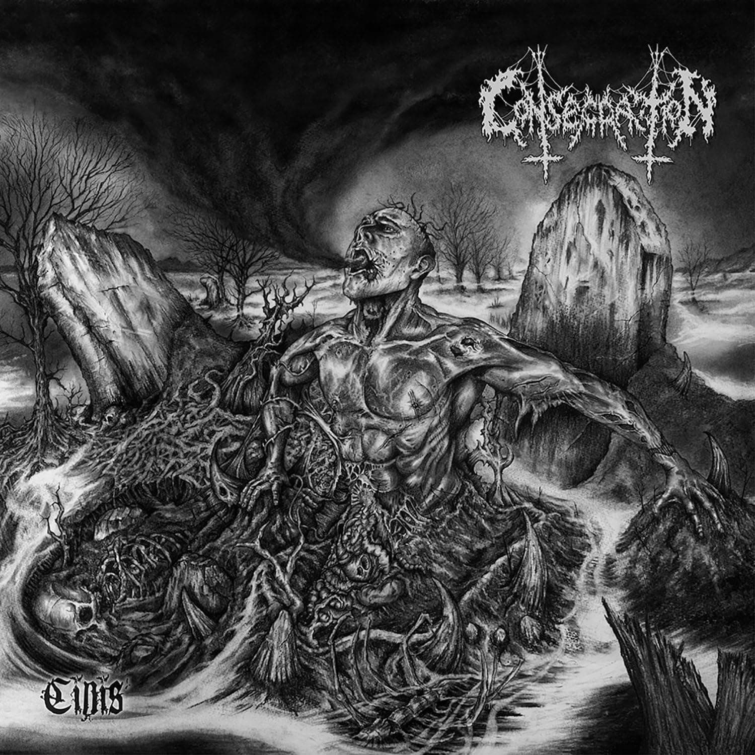 Cinis (Transparent Milky Vinyl W/ Black and Gold Splatter) por Consecration — capa do álbum