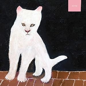 DUSTER por Músicas MP3 — capa do álbum