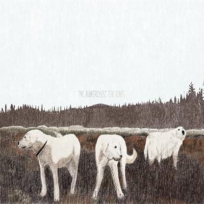 The Albatross: Ten Years (Colored Vinyl, Brown) por Foxing — capa do álbum