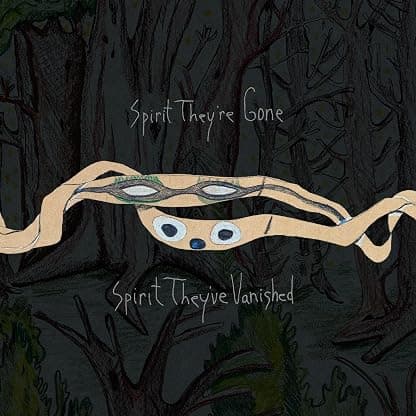 Spirit They're Gone, Spirit They've Vanished (Remastered 2023) por Animal Collective — capa do álbum