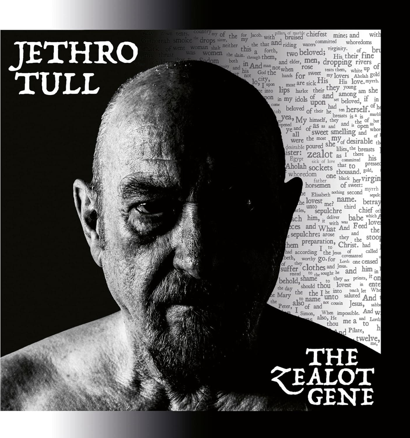 The Zealot Gene por Jethro Tull — capa do álbum
