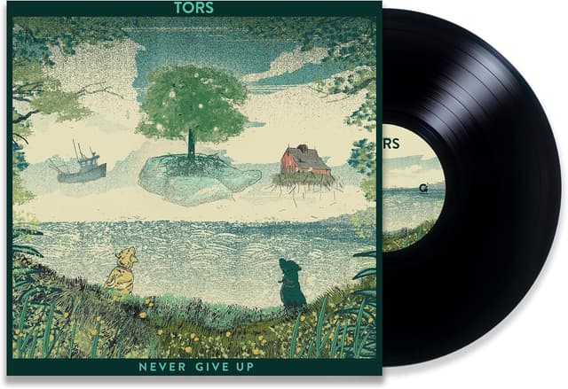 Never Give Up por Tors — capa do álbum