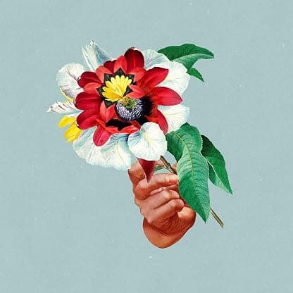 Kingdoms In Colour por Maribou State — capa do álbum