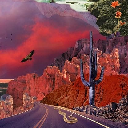 APOLLYON (180G/2LP) por Artista não identificado — capa do álbum