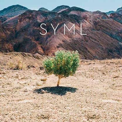 Syml - In My Body por Syml — capa do álbum
