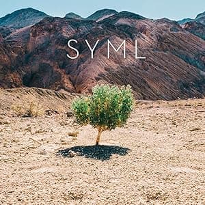 Syml - In My Body por Syml — capa do álbum