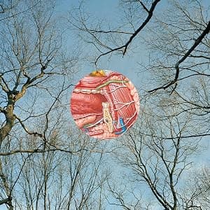 Glean por They Might Be Giants — capa do álbum