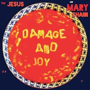 DAMAGE & JOY (AMS EXCLUSIVE/2LP) por Artista não identificado — capa do álbum