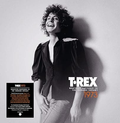 Whatever Happened To The Teenage Dream - 140-Gram Orange Colored Vinyl 5LP Boxset por T. Rex — capa do álbum