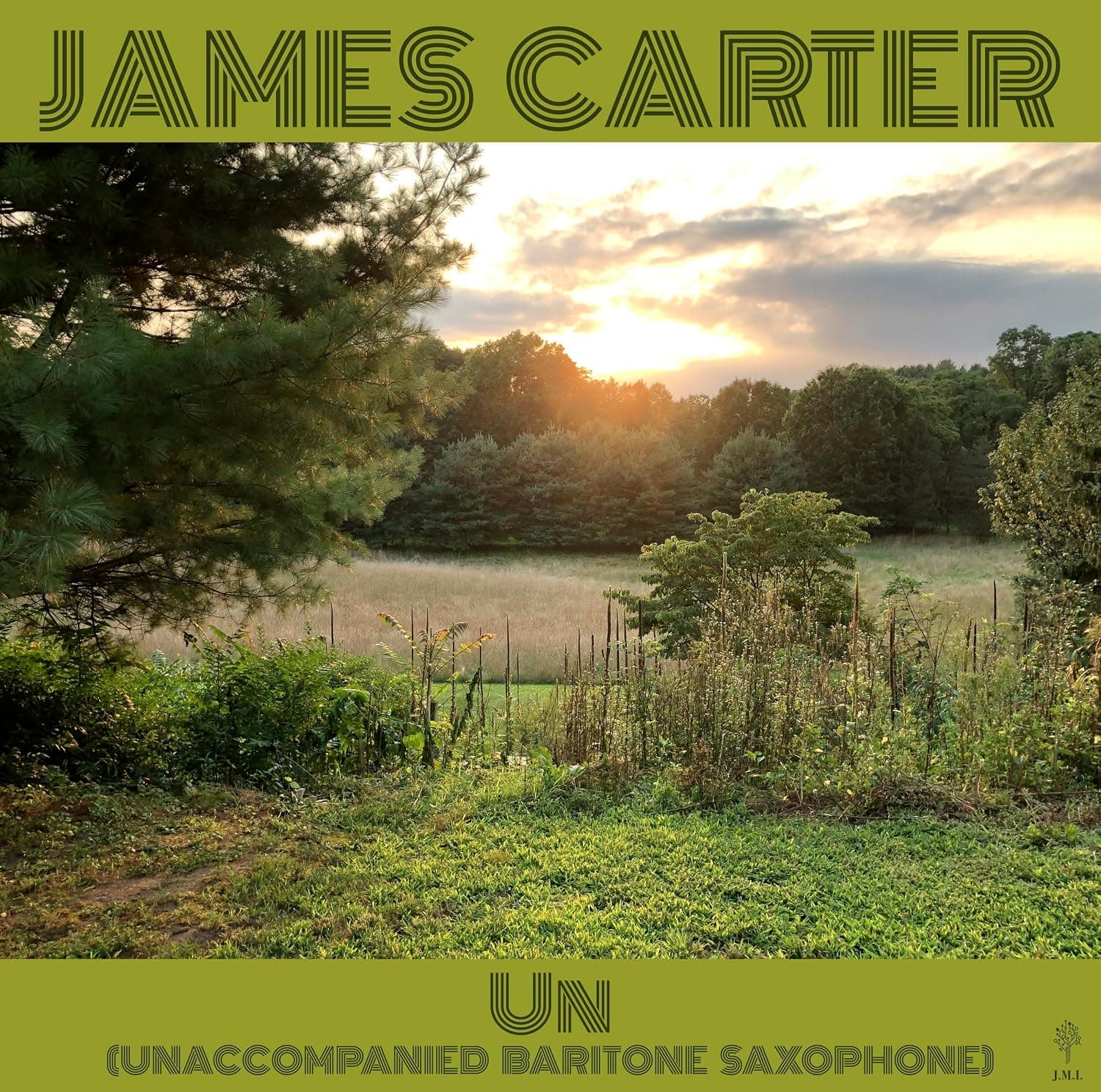 UN (UNACCOMPANIED BARITONE SAXOPHONE) por James Carter — capa do álbum